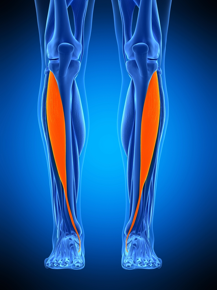 Shin Pain: Shin Splints Treatment | Buxton Osteopathy Clinic