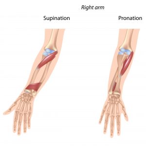 dislocated elbow treatment