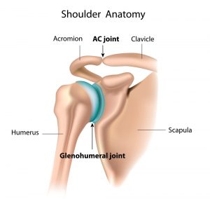 osteoarthritis shoulder