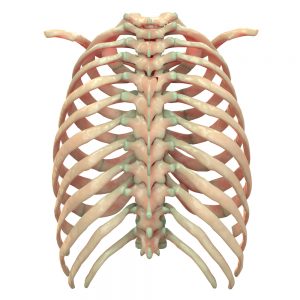 rib joint pain