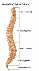 back pain posture