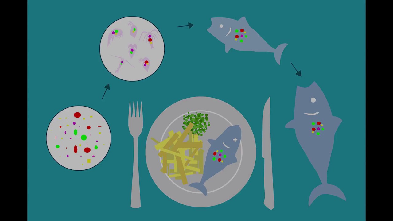 Microplastics; An Unwanted Food Ingredient