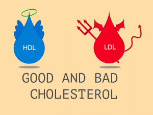 cholesterol good and bad