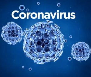 Guide to the new coronavirus and where it came from
