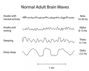 Brainwave patterns when we sleep